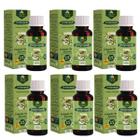 Extrato Própolis Puro Kit com 6 Verde Alecrim 15% Alcolico Imunidade Vitamina Aquoso 30 ml Natural