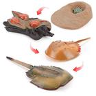 Fantarea 4 PCS Sea Marine Animal Figures Ocean Creatures Action Models Life Cycle Horseshoe Crab Figure Ornament Cake Toppers Party Favors Supplies Cognitive Toy for Boys Girls Kid 5 6 7 8 Year Old