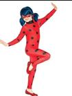 Ladybug e Cat Noir - Miraculous - Camarim - Aluguel de Fantasias