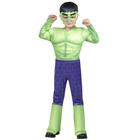 Fantasia Jazwares Hulk Official Toddler Halloween 3T-4T - Jazwares Costume Play