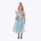 Fantasia Princesa Elsa Frozen Infantil Menina Muvile 9994