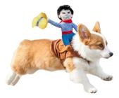 Fantasia Roupa Cowboy Para Pet Caes Cachorro Gato - M