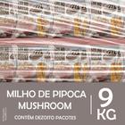 Fardo Milho Mushroom Pipoca Gourmet 9 Kilos Receitas Doces E Salgadas