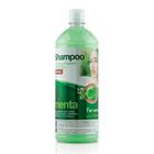 Fattore - Shampoo Menta 1030ml
