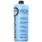 FELPS PROFISSIONAL Omega Zero Unique Nanoplastia Selagem Térmica 1L