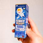 FERRIX KIDS Suplemento Infantil de Ferro (Ferro 3mg/porcao) 30ml Sabor Morango - Flora Nativa