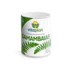 Fertilizante 30 Pastilhas para Samambaias Vitaplan - 50g