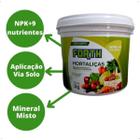 Fertilizante Adubo Forth Hortaliças 3 Kg Nutrição Para Horta