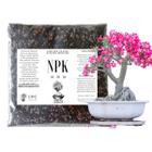 Fertilizante Adubo Para Rosa do Deserto Npk 10 10 10 - 1Kg