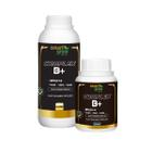 Fertilizante Complex B+ - Smart Grow - 250 ml ou 1 litro