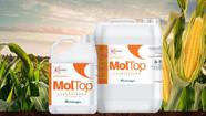 Fertilizante Liquido Aminoagro Mol Top 20 Litros - Composição Ntirogênio