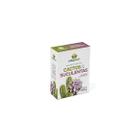 Fertilizante Mineral Cactos e Suculentas Vitaplan 150g - Nutriplan