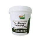 Fertilizante mineral misto para Samambaias - Gold Plant