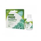 Fertilizante Orgânico Suculentas 60ml Concentrado FORTH