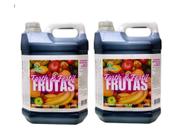 Fertilizante para frutíferas Pronto pra Uso 5 Litros Forth & Fértil Frutas -2 unid. - Vd01