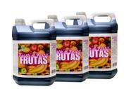 Fertilizante para frutíferas Pronto pra Uso 5 Litros Forth & Fértil Frutas -3 unid. - Vd01