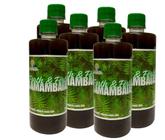 Fertilizante para Samambaias Pronto para Uso 500 ml - Forth & Fértil - 6 unid. Vd01