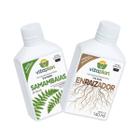 Fertilizante Samambaia + Enraizador 140ml VITAPLAN