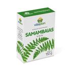 Fertilizante Vitaplan 12.08.06 para Samambaias - 150g