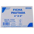 Ficha Pautada 4 x 6 100 Unidades