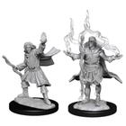 Figura em miniatura WizKids Pathfinder Deep Cuts Elf Sorcerer Male