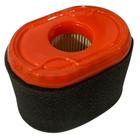 Filtro De Ar Motor Briggs Stratton Serie 550 XR 3,5 127cc - Briggs & Stratton