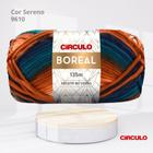 Fio Boreal Circulo 100g Cor Sereno 9610