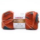 Fio Boreal Círculo 100g