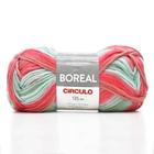 Fio Boreal Círculo 100g