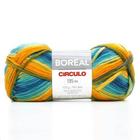 Fio Boreal Círculo 100g