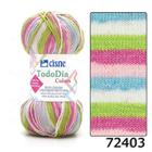 Fio Cisne Todo Dia Colors 100g