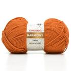 Fio Harmony Círculo 100g