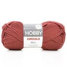 Fio Hobby Círculo 100g