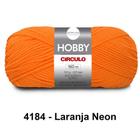 Fio Lã Hobby Circulo 100G Crochê Trico