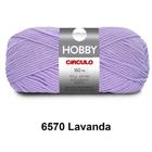 Fio Lã Hobby Circulo 100G Crochê Trico