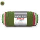 Fio/Lã Magic Pull 200g Circulo - Tex 653, 306m (efeito de listras)