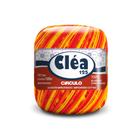 Fio/Linha Cléa 125 Tex 151 100% algodão mercerizado 125m-anuncio 2 - Circulo