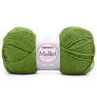 Fio Mollet 100g - Cores 2024