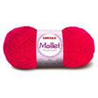 Fio Mollet Círculo -100G - 010 a 2770 - CIRCULO