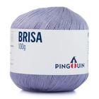 Fio Pingouin Brisa 100% Acrílico - 500m - 100g