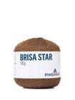 Fio Pingouin Brisa Star - 227 Tex - 95% Acr. 5% Polies Metal