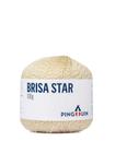 Fio Pingouin Brisa Star - 227 Tex - 95% Acr. 5% Polies Metal