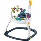 Fisher Price Baby Gear Cadeira Pula-Pula Div Espacial