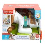 Fisher Price - Cachorro Engatinha Comigo