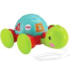 Fisher-Price Empurra Tartaruga - Y8652 - Mattel