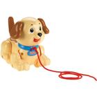 FISHER-PRICE Meu Primeiro Cachorrinho