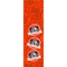 Fita Decorativa Cinderela Pet 25mm Com 10 Metros - COR:COR 731 DOG LOVER