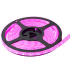 Fita Led 3528 300 Leds Rosa Pink A Prova Dagua - Geraltec