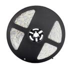 Fita LED 3528 Verde Rolo 5m com fonte 12V 2A - KIT LED