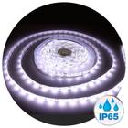 Fita Led Branco Frio 6K 3528 5m Ip65 Siliconada com Fonte Inclusa